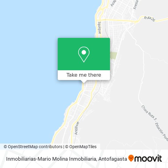 Inmobiliarias-Mario Molina Inmobiliaria map