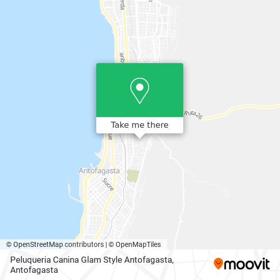 Peluqueria Canina Glam Style Antofagasta map