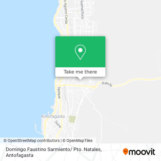 Domingo Faustino Sarmiento/ Pto. Natales map