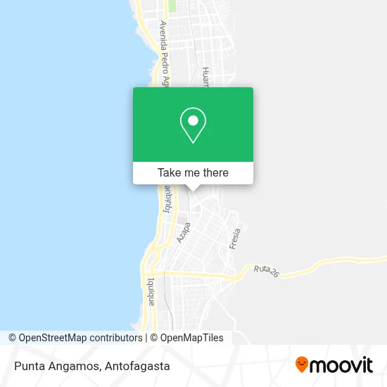 Punta Angamos map