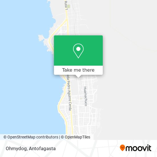 Ohmydog map