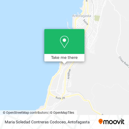 Maria Soledad Contreras Codoceo map
