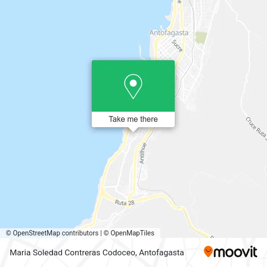 Maria Soledad Contreras Codoceo map