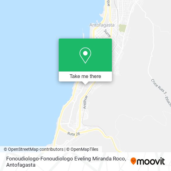 Mapa de Fonoudiologo-Fonoudiologo Eveling Miranda Roco