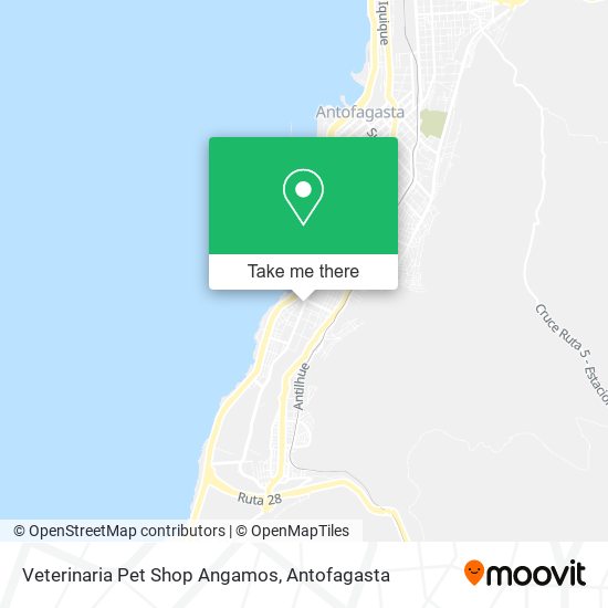 Mapa de Veterinaria Pet Shop Angamos