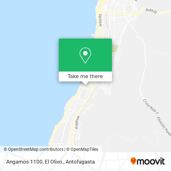 Mapa de Angamos 1100, El Olivo.