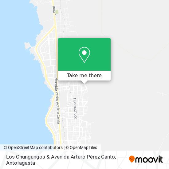 Los Chungungos & Avenida Arturo Pérez Canto map