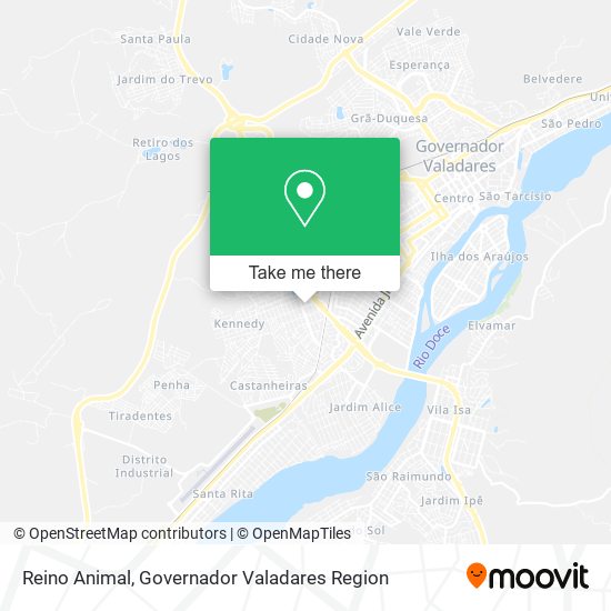 Reino Animal map