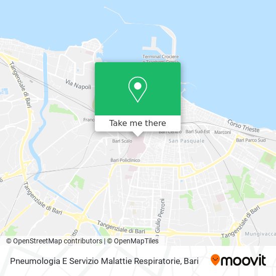 Pneumologia E Servizio Malattie Respiratorie map