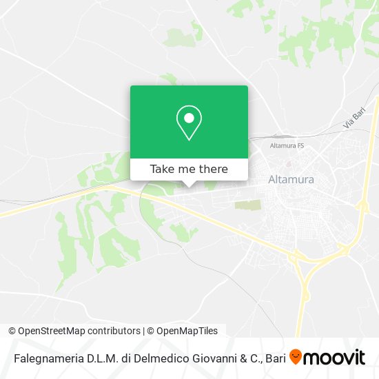 Falegnameria D.L.M. di Delmedico Giovanni & C. map