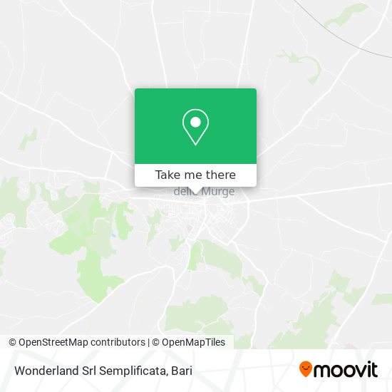 Wonderland Srl Semplificata map