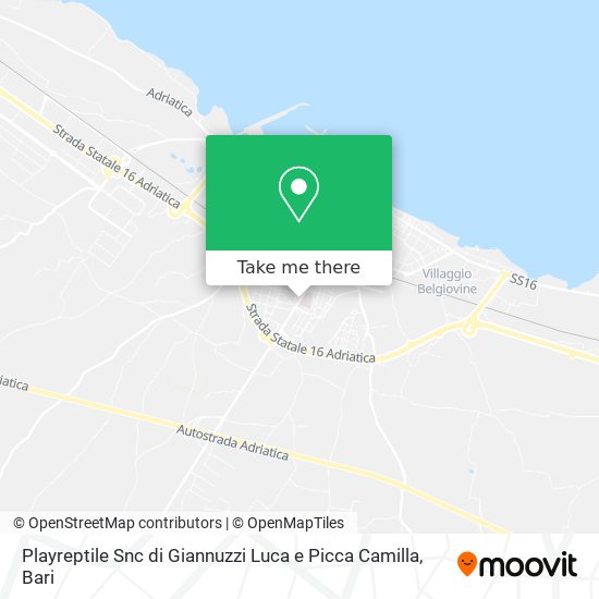Playreptile Snc di Giannuzzi Luca e Picca Camilla map