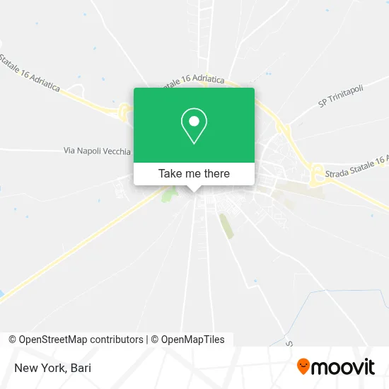 New York map
