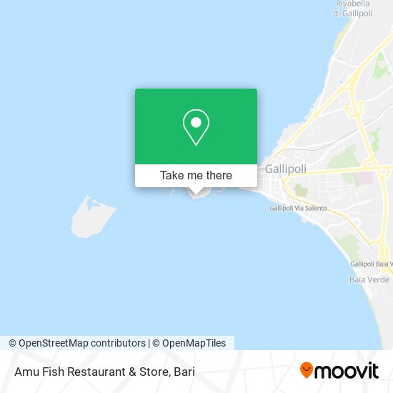 Amu Fish Restaurant & Store map
