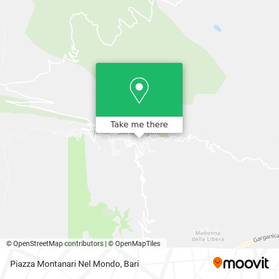 Piazza Montanari Nel Mondo map