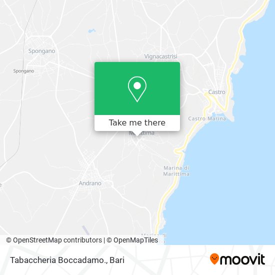 Tabaccheria Boccadamo. map