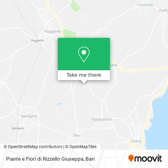 Piante e Fiori di Rizzello Giuseppa map