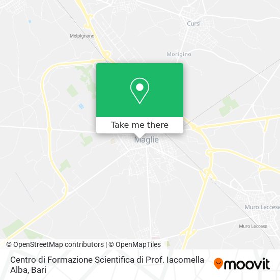 Centro di Formazione Scientifica di Prof. Iacomella Alba map