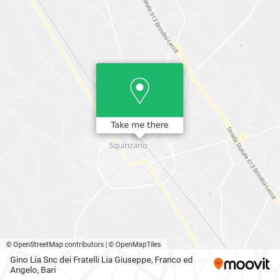 Gino Lia Snc dei Fratelli Lia Giuseppe, Franco ed Angelo map