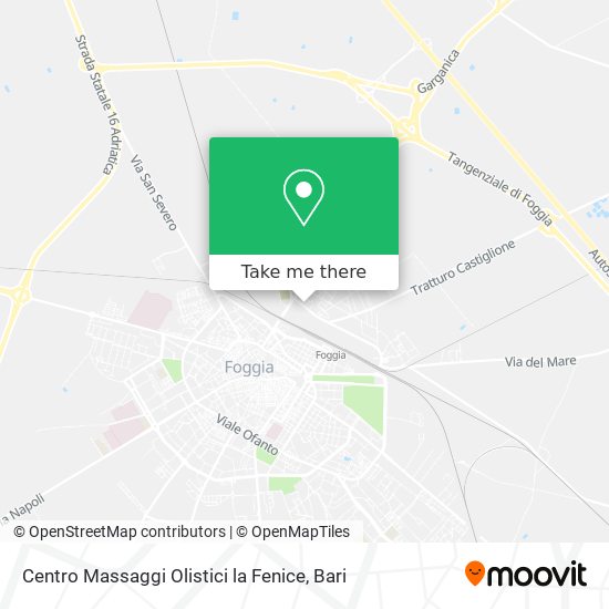 Centro Massaggi Olistici la Fenice map