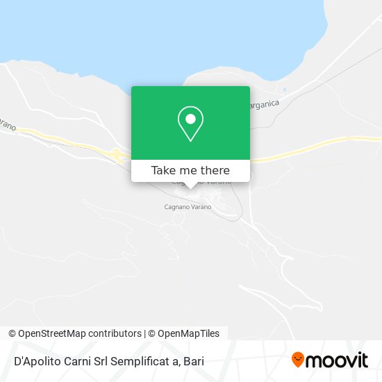 D'Apolito Carni Srl Semplificat a map