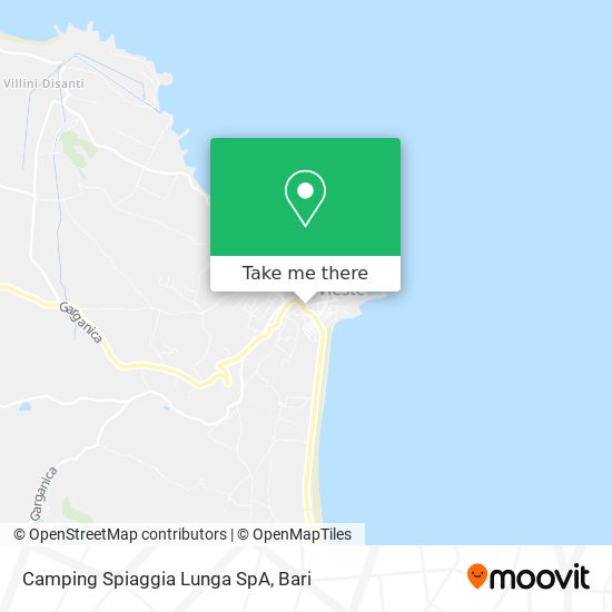 Camping Spiaggia Lunga SpA map