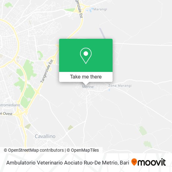 Ambulatorio Veterinario Aociato Ruo-De Metrio map