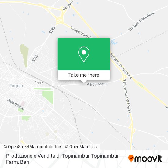 Produzione e Vendita di Topinambur Topinambur Farm map