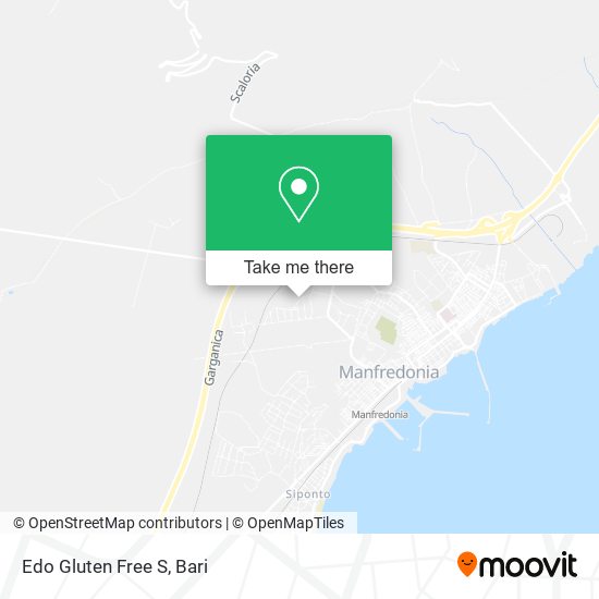 Edo Gluten Free S map