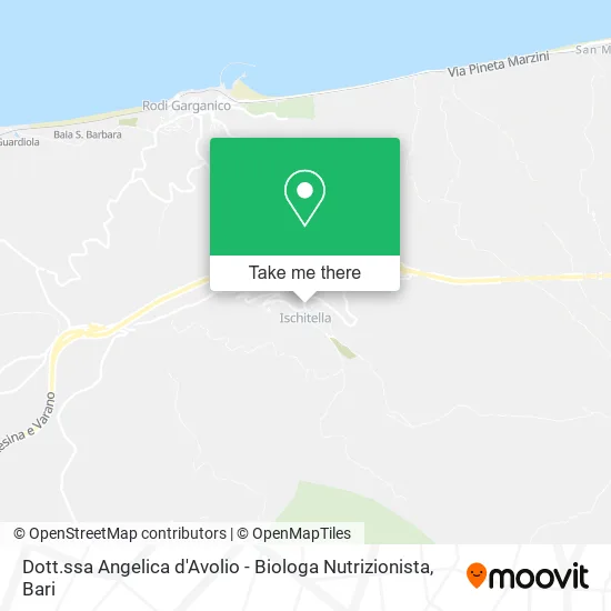 Dott.ssa Angelica d'Avolio - Biologa Nutrizionista map