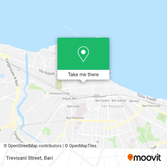 Trevisani Street map