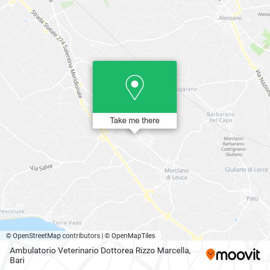 Ambulatorio Veterinario Dottorea Rizzo Marcella map