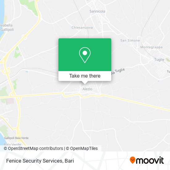 Fenice Security Services map