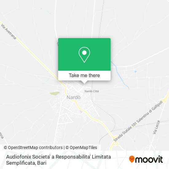 Audiofonix Societa' a Responsabilita' Limitata Semplificata map