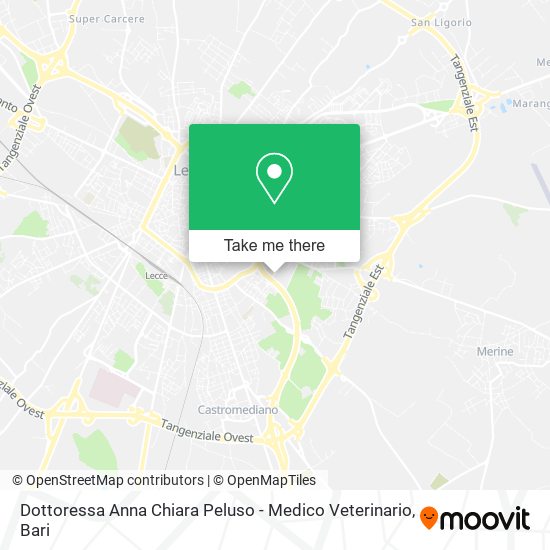 Dottoressa Anna Chiara Peluso - Medico Veterinario map