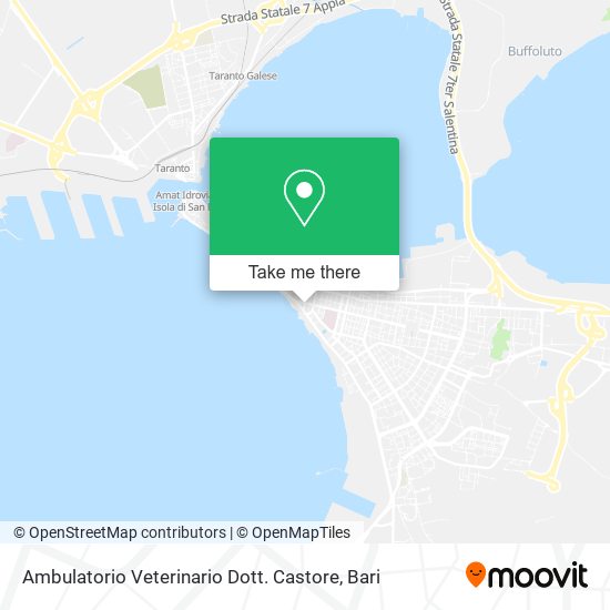 Ambulatorio Veterinario Dott. Castore map