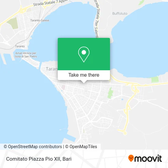 Pio XII Square Committee map