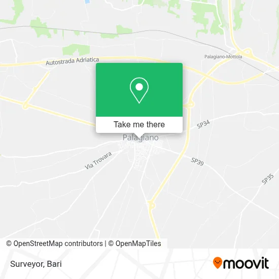 Surveyor map