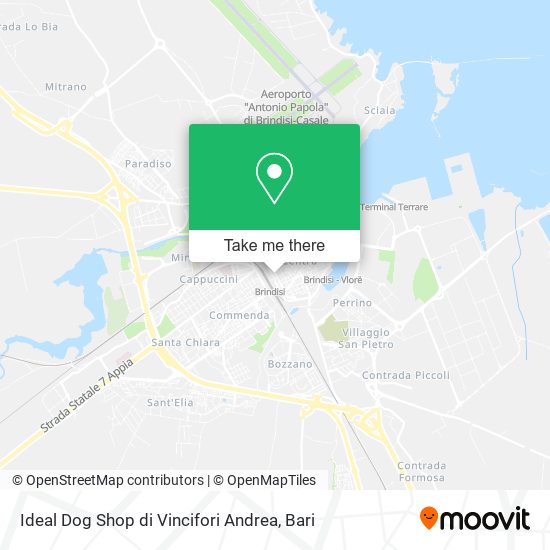 Ideal Dog Shop di Vincifori Andrea map
