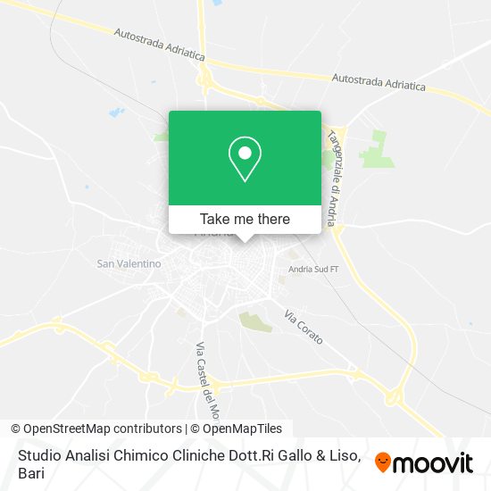 Studio Analisi Chimico Cliniche Dott.Ri Gallo & Liso map