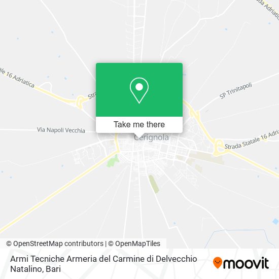 Armi Tecniche Armeria del Carmine di Delvecchio Natalino map