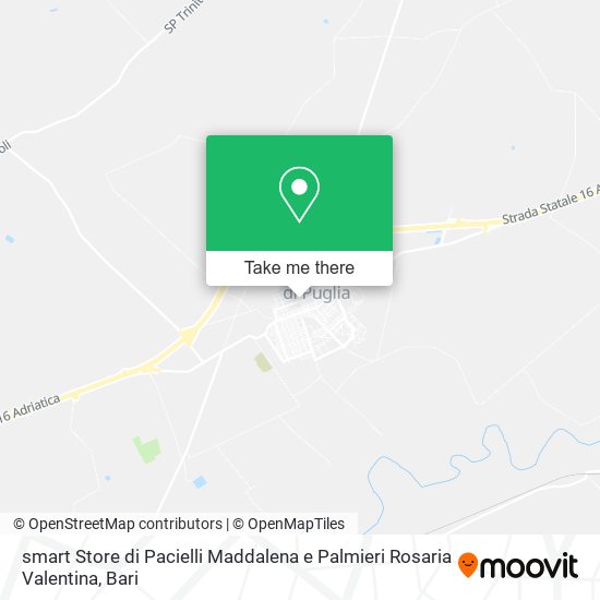 smart Store di Pacielli Maddalena e Palmieri Rosaria Valentina map