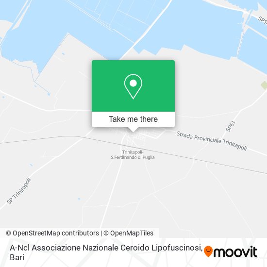 A-Ncl Associazione Nazionale Ceroido Lipofuscinosi map