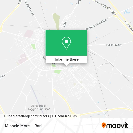 Michele Morelli map