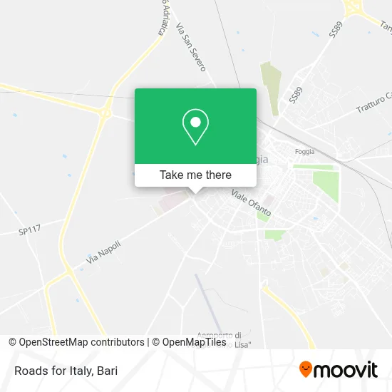 Roads for Italy map