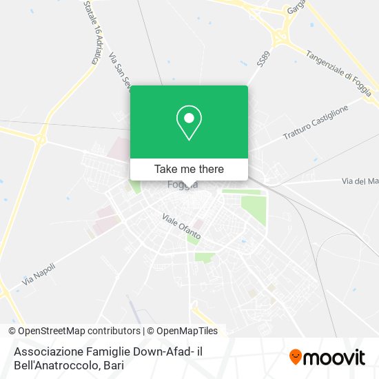 Associazione Famiglie Down-Afad- il Bell'Anatroccolo map