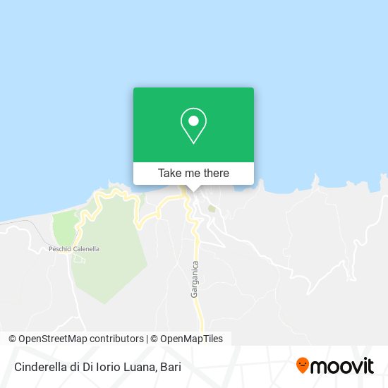 Cinderella di Di Iorio Luana map