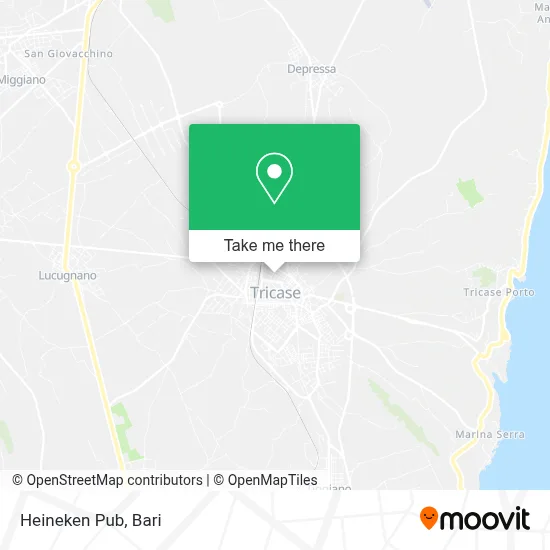 Heineken Pub map