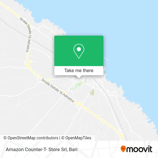 Amazon Counter-T- Store SRL map