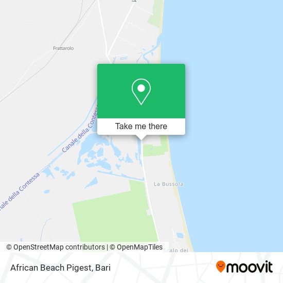 African Beach Pigest map
